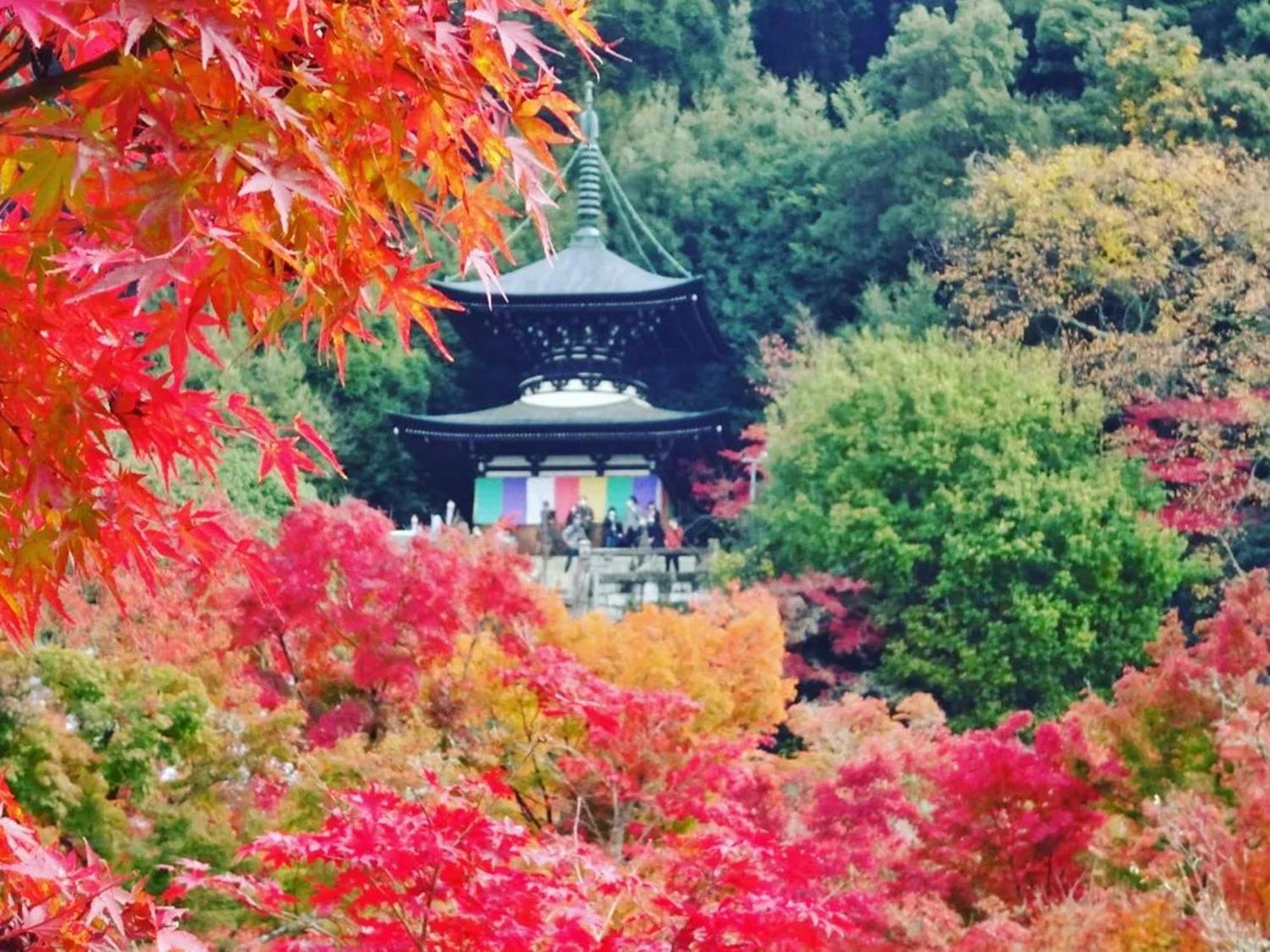 Yamamoto Ryokan Kyoto Exteriör bild